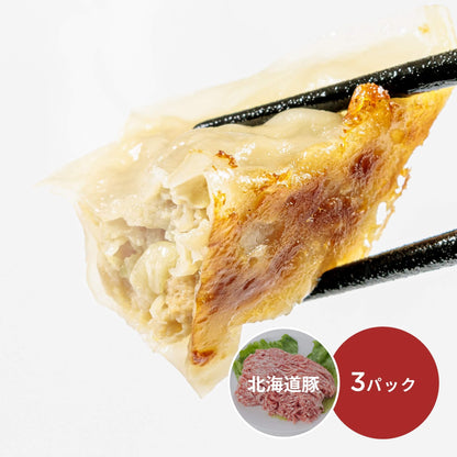 北海道豚肉使用E餃子 20個×3パック